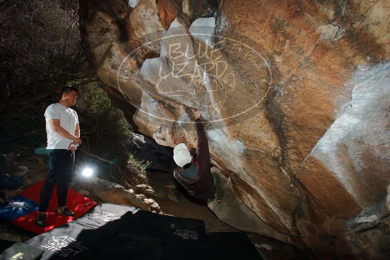 Bouldering in Hueco Tanks on 12/30/2019 with Blue Lizard Climbing and Yoga

Filename: SRM_20191230_1211480.jpg
Aperture: f/8.0
Shutter Speed: 1/250
Body: Canon EOS-1D Mark II
Lens: Canon EF 16-35mm f/2.8 L