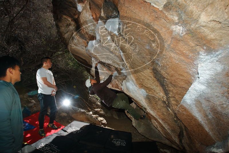 Bouldering in Hueco Tanks on 12/30/2019 with Blue Lizard Climbing and Yoga

Filename: SRM_20191230_1216030.jpg
Aperture: f/8.0
Shutter Speed: 1/250
Body: Canon EOS-1D Mark II
Lens: Canon EF 16-35mm f/2.8 L