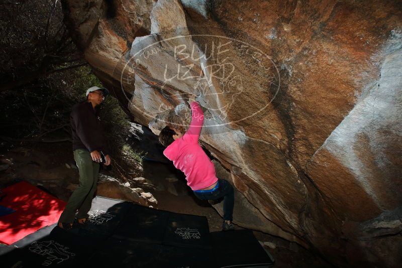 Bouldering in Hueco Tanks on 12/30/2019 with Blue Lizard Climbing and Yoga

Filename: SRM_20191230_1219280.jpg
Aperture: f/8.0
Shutter Speed: 1/250
Body: Canon EOS-1D Mark II
Lens: Canon EF 16-35mm f/2.8 L