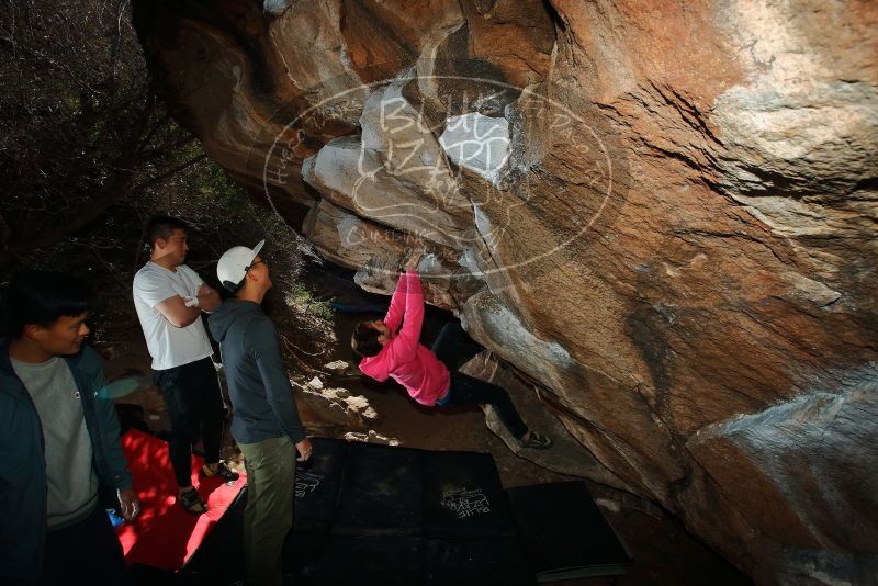 Bouldering in Hueco Tanks on 12/30/2019 with Blue Lizard Climbing and Yoga

Filename: SRM_20191230_1226180.jpg
Aperture: f/8.0
Shutter Speed: 1/250
Body: Canon EOS-1D Mark II
Lens: Canon EF 16-35mm f/2.8 L