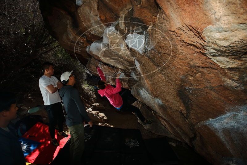Bouldering in Hueco Tanks on 12/30/2019 with Blue Lizard Climbing and Yoga

Filename: SRM_20191230_1226190.jpg
Aperture: f/8.0
Shutter Speed: 1/250
Body: Canon EOS-1D Mark II
Lens: Canon EF 16-35mm f/2.8 L