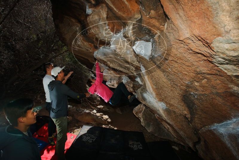 Bouldering in Hueco Tanks on 12/30/2019 with Blue Lizard Climbing and Yoga

Filename: SRM_20191230_1226250.jpg
Aperture: f/8.0
Shutter Speed: 1/250
Body: Canon EOS-1D Mark II
Lens: Canon EF 16-35mm f/2.8 L