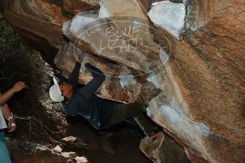 Bouldering in Hueco Tanks on 12/30/2019 with Blue Lizard Climbing and Yoga

Filename: SRM_20191230_1228070.jpg
Aperture: f/8.0
Shutter Speed: 1/250
Body: Canon EOS-1D Mark II
Lens: Canon EF 16-35mm f/2.8 L