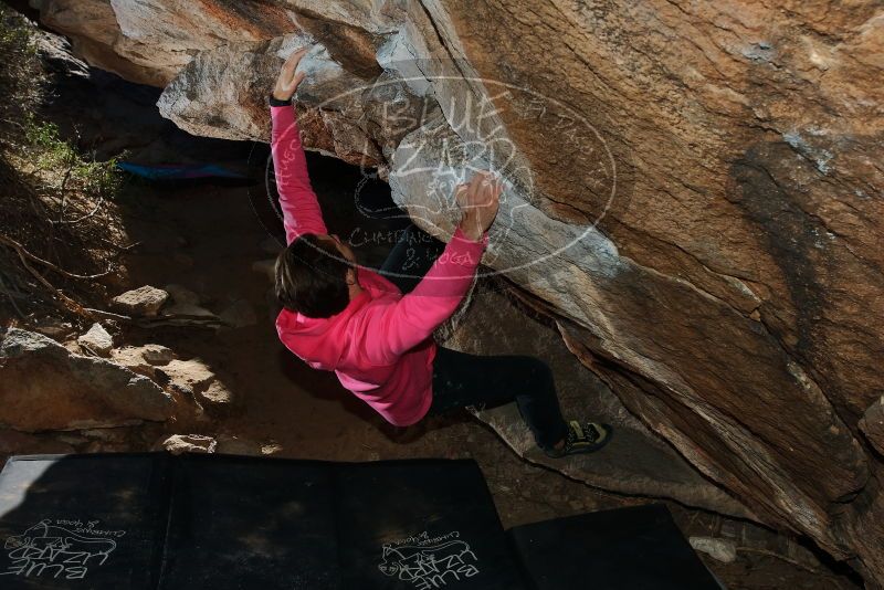 Bouldering in Hueco Tanks on 12/30/2019 with Blue Lizard Climbing and Yoga

Filename: SRM_20191230_1230460.jpg
Aperture: f/8.0
Shutter Speed: 1/250
Body: Canon EOS-1D Mark II
Lens: Canon EF 16-35mm f/2.8 L