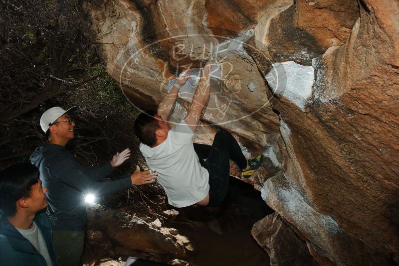 Bouldering in Hueco Tanks on 12/30/2019 with Blue Lizard Climbing and Yoga

Filename: SRM_20191230_1234240.jpg
Aperture: f/8.0
Shutter Speed: 1/250
Body: Canon EOS-1D Mark II
Lens: Canon EF 16-35mm f/2.8 L