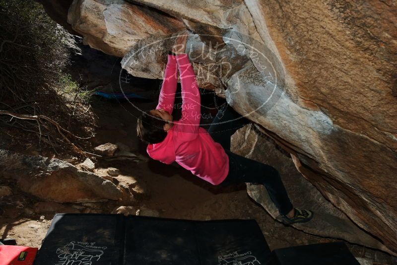 Bouldering in Hueco Tanks on 12/30/2019 with Blue Lizard Climbing and Yoga

Filename: SRM_20191230_1236170.jpg
Aperture: f/8.0
Shutter Speed: 1/250
Body: Canon EOS-1D Mark II
Lens: Canon EF 16-35mm f/2.8 L