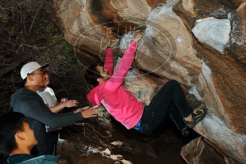Bouldering in Hueco Tanks on 12/30/2019 with Blue Lizard Climbing and Yoga

Filename: SRM_20191230_1236310.jpg
Aperture: f/8.0
Shutter Speed: 1/250
Body: Canon EOS-1D Mark II
Lens: Canon EF 16-35mm f/2.8 L
