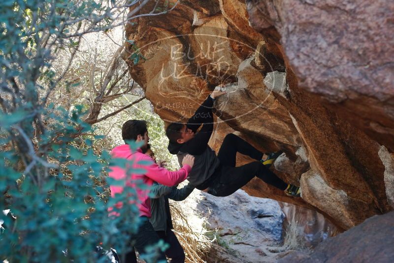 Bouldering in Hueco Tanks on 12/30/2019 with Blue Lizard Climbing and Yoga

Filename: SRM_20191230_1308450.jpg
Aperture: f/4.0
Shutter Speed: 1/250
Body: Canon EOS-1D Mark II
Lens: Canon EF 50mm f/1.8 II