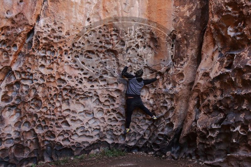 Bouldering in Hueco Tanks on 12/30/2019 with Blue Lizard Climbing and Yoga

Filename: SRM_20191230_1454310.jpg
Aperture: f/3.5
Shutter Speed: 1/100
Body: Canon EOS-1D Mark II
Lens: Canon EF 16-35mm f/2.8 L