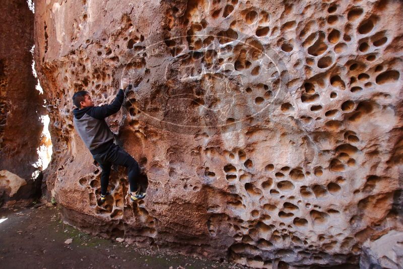 Bouldering in Hueco Tanks on 12/30/2019 with Blue Lizard Climbing and Yoga

Filename: SRM_20191230_1459370.jpg
Aperture: f/2.8
Shutter Speed: 1/100
Body: Canon EOS-1D Mark II
Lens: Canon EF 16-35mm f/2.8 L