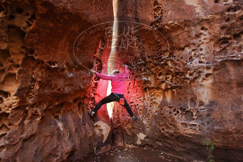 Bouldering in Hueco Tanks on 12/30/2019 with Blue Lizard Climbing and Yoga

Filename: SRM_20191230_1502100.jpg
Aperture: f/3.5
Shutter Speed: 1/100
Body: Canon EOS-1D Mark II
Lens: Canon EF 16-35mm f/2.8 L