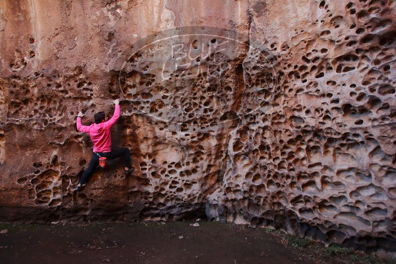 Bouldering in Hueco Tanks on 12/30/2019 with Blue Lizard Climbing and Yoga

Filename: SRM_20191230_1503180.jpg
Aperture: f/4.0
Shutter Speed: 1/100
Body: Canon EOS-1D Mark II
Lens: Canon EF 16-35mm f/2.8 L