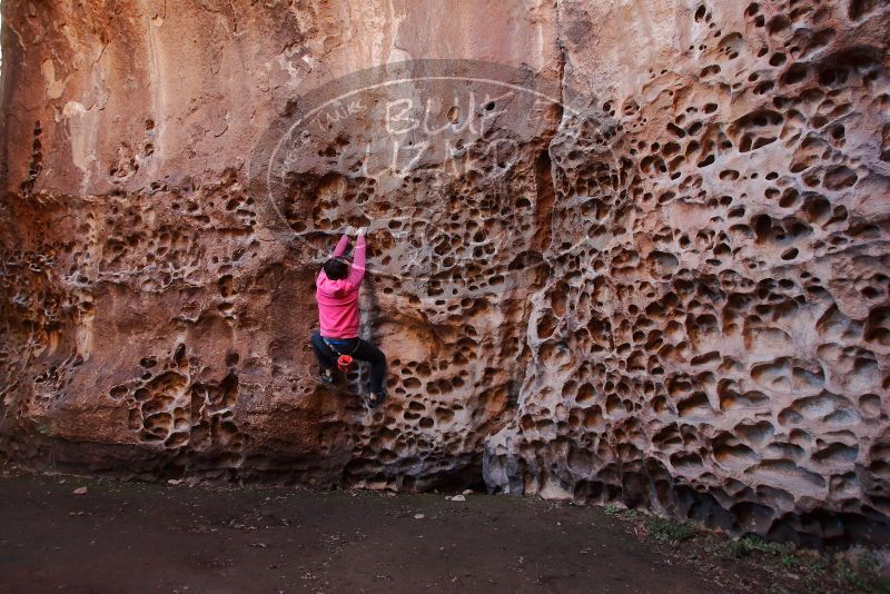 Bouldering in Hueco Tanks on 12/30/2019 with Blue Lizard Climbing and Yoga

Filename: SRM_20191230_1503240.jpg
Aperture: f/4.0
Shutter Speed: 1/100
Body: Canon EOS-1D Mark II
Lens: Canon EF 16-35mm f/2.8 L