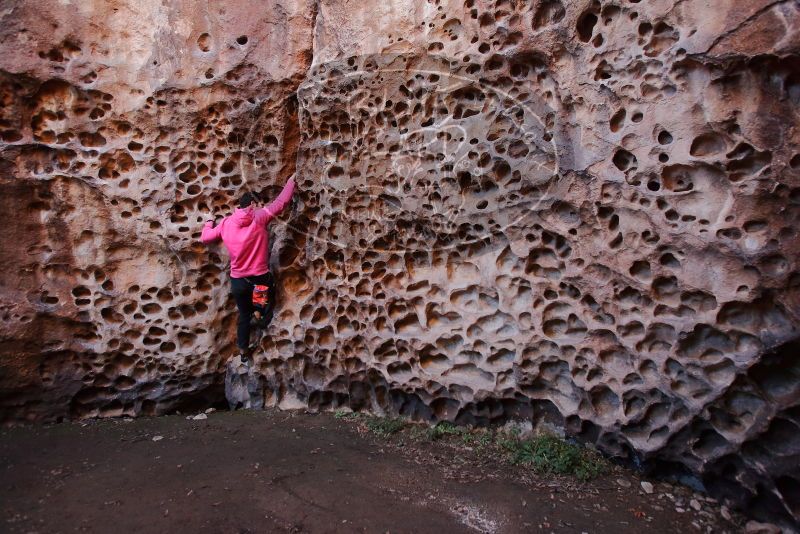 Bouldering in Hueco Tanks on 12/30/2019 with Blue Lizard Climbing and Yoga

Filename: SRM_20191230_1503570.jpg
Aperture: f/4.0
Shutter Speed: 1/100
Body: Canon EOS-1D Mark II
Lens: Canon EF 16-35mm f/2.8 L