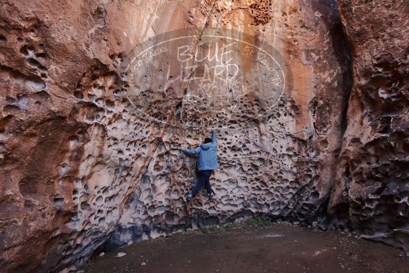 Bouldering in Hueco Tanks on 12/30/2019 with Blue Lizard Climbing and Yoga

Filename: SRM_20191230_1512580.jpg
Aperture: f/3.5
Shutter Speed: 1/100
Body: Canon EOS-1D Mark II
Lens: Canon EF 16-35mm f/2.8 L