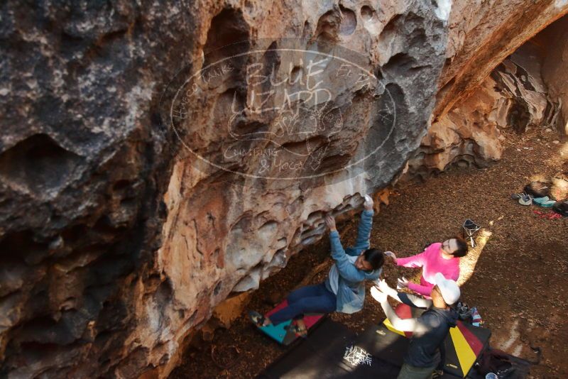 Bouldering in Hueco Tanks on 12/30/2019 with Blue Lizard Climbing and Yoga

Filename: SRM_20191230_1636170.jpg
Aperture: f/4.5
Shutter Speed: 1/200
Body: Canon EOS-1D Mark II
Lens: Canon EF 16-35mm f/2.8 L