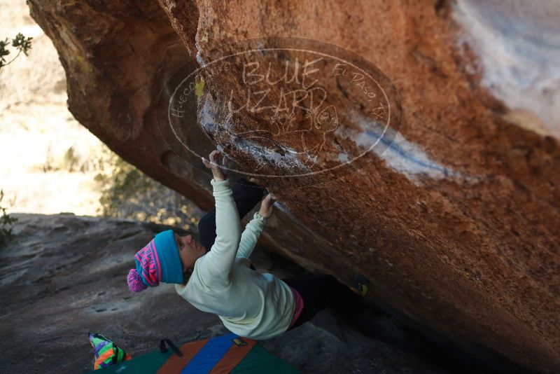 Bouldering in Hueco Tanks on 12/31/2019 with Blue Lizard Climbing and Yoga

Filename: SRM_20191231_1422320.jpg
Aperture: f/2.8
Shutter Speed: 1/500
Body: Canon EOS-1D Mark II
Lens: Canon EF 50mm f/1.8 II