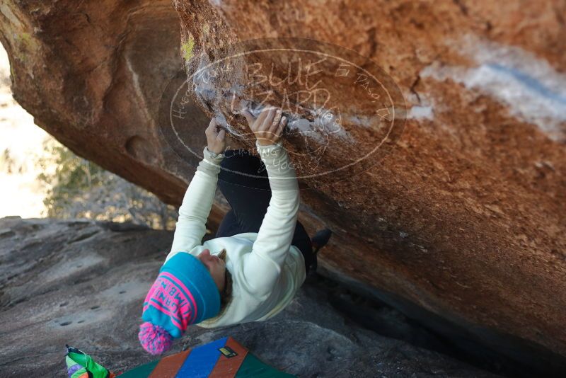 Bouldering in Hueco Tanks on 12/31/2019 with Blue Lizard Climbing and Yoga

Filename: SRM_20191231_1428560.jpg
Aperture: f/2.8
Shutter Speed: 1/500
Body: Canon EOS-1D Mark II
Lens: Canon EF 50mm f/1.8 II