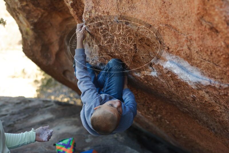 Bouldering in Hueco Tanks on 12/31/2019 with Blue Lizard Climbing and Yoga

Filename: SRM_20191231_1435100.jpg
Aperture: f/2.8
Shutter Speed: 1/500
Body: Canon EOS-1D Mark II
Lens: Canon EF 50mm f/1.8 II