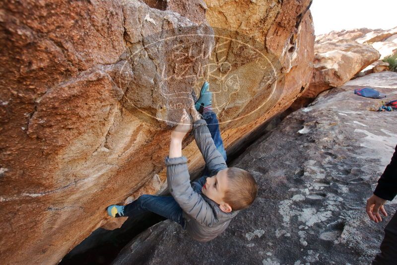 Bouldering in Hueco Tanks on 12/31/2019 with Blue Lizard Climbing and Yoga

Filename: SRM_20191231_1500270.jpg
Aperture: f/5.6
Shutter Speed: 1/200
Body: Canon EOS-1D Mark II
Lens: Canon EF 16-35mm f/2.8 L