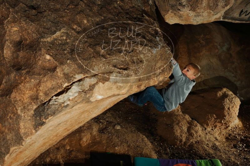 Bouldering in Hueco Tanks on 12/31/2019 with Blue Lizard Climbing and Yoga

Filename: SRM_20191231_1726250.jpg
Aperture: f/5.6
Shutter Speed: 1/250
Body: Canon EOS-1D Mark II
Lens: Canon EF 50mm f/1.8 II