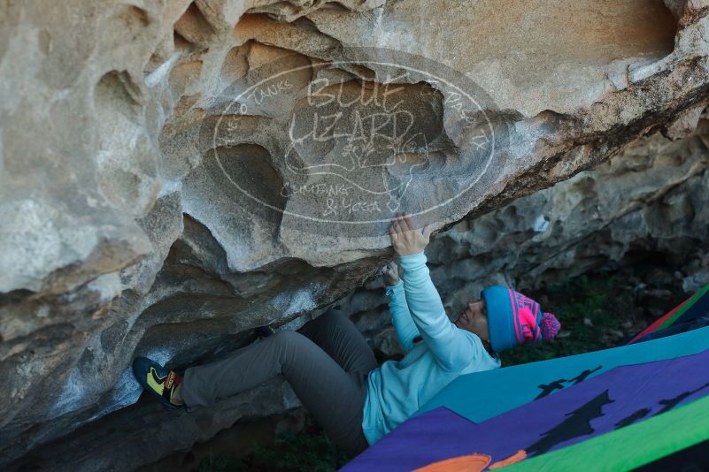 Bouldering in Hueco Tanks on 01/01/2020 with Blue Lizard Climbing and Yoga

Filename: SRM_20200101_1618430.jpg
Aperture: f/4.5
Shutter Speed: 1/250
Body: Canon EOS-1D Mark II
Lens: Canon EF 50mm f/1.8 II
