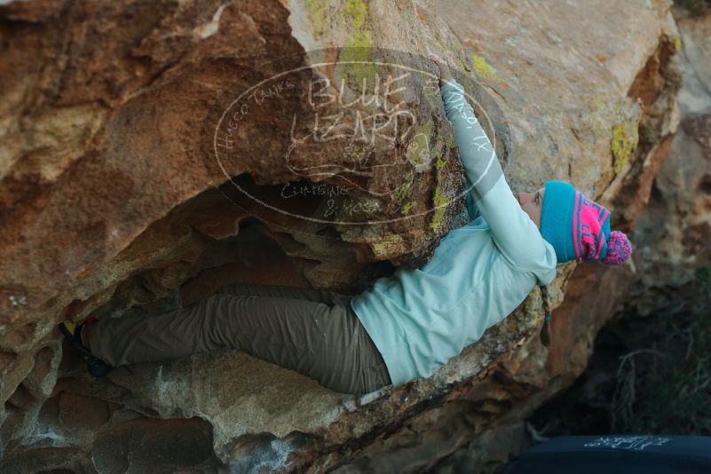 Bouldering in Hueco Tanks on 01/01/2020 with Blue Lizard Climbing and Yoga

Filename: SRM_20200101_1629300.jpg
Aperture: f/4.0
Shutter Speed: 1/320
Body: Canon EOS-1D Mark II
Lens: Canon EF 50mm f/1.8 II