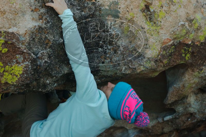 Bouldering in Hueco Tanks on 01/01/2020 with Blue Lizard Climbing and Yoga

Filename: SRM_20200101_1643000.jpg
Aperture: f/5.6
Shutter Speed: 1/250
Body: Canon EOS-1D Mark II
Lens: Canon EF 50mm f/1.8 II