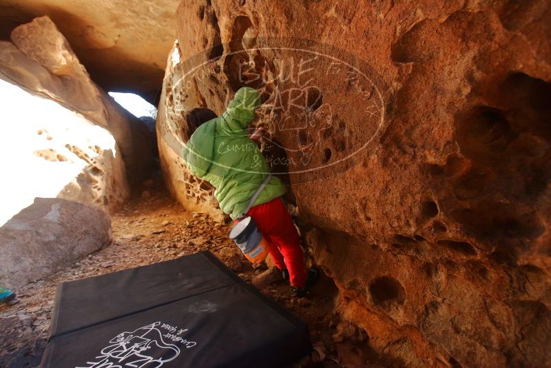 Bouldering in Hueco Tanks on 01/03/2020 with Blue Lizard Climbing and Yoga

Filename: SRM_20200103_1228330.jpg
Aperture: f/3.5
Shutter Speed: 1/320
Body: Canon EOS-1D Mark II
Lens: Canon EF 16-35mm f/2.8 L