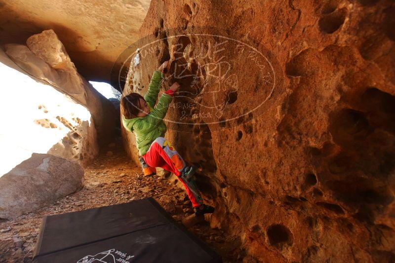 Bouldering in Hueco Tanks on 01/03/2020 with Blue Lizard Climbing and Yoga

Filename: SRM_20200103_1228360.jpg
Aperture: f/5.0
Shutter Speed: 1/250
Body: Canon EOS-1D Mark II
Lens: Canon EF 16-35mm f/2.8 L