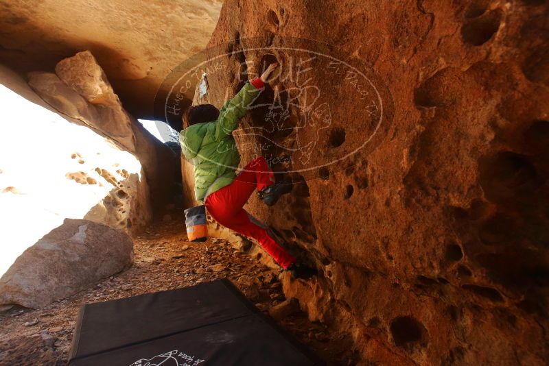 Bouldering in Hueco Tanks on 01/03/2020 with Blue Lizard Climbing and Yoga

Filename: SRM_20200103_1228390.jpg
Aperture: f/5.0
Shutter Speed: 1/250
Body: Canon EOS-1D Mark II
Lens: Canon EF 16-35mm f/2.8 L