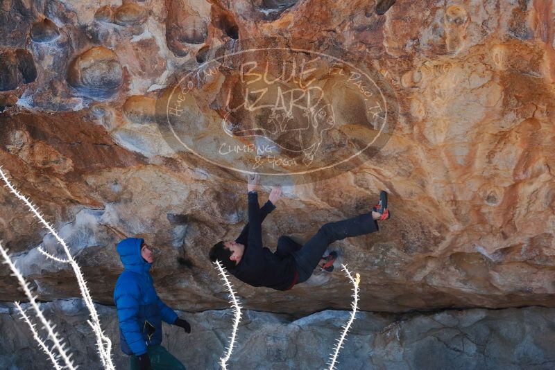 Bouldering in Hueco Tanks on 01/03/2020 with Blue Lizard Climbing and Yoga

Filename: SRM_20200103_1246500.jpg
Aperture: f/6.3
Shutter Speed: 1/400
Body: Canon EOS-1D Mark II
Lens: Canon EF 50mm f/1.8 II