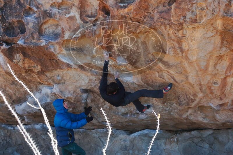 Bouldering in Hueco Tanks on 01/03/2020 with Blue Lizard Climbing and Yoga

Filename: SRM_20200103_1246540.jpg
Aperture: f/4.0
Shutter Speed: 1/500
Body: Canon EOS-1D Mark II
Lens: Canon EF 50mm f/1.8 II