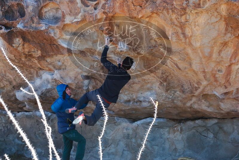 Bouldering in Hueco Tanks on 01/03/2020 with Blue Lizard Climbing and Yoga

Filename: SRM_20200103_1246570.jpg
Aperture: f/4.0
Shutter Speed: 1/500
Body: Canon EOS-1D Mark II
Lens: Canon EF 50mm f/1.8 II