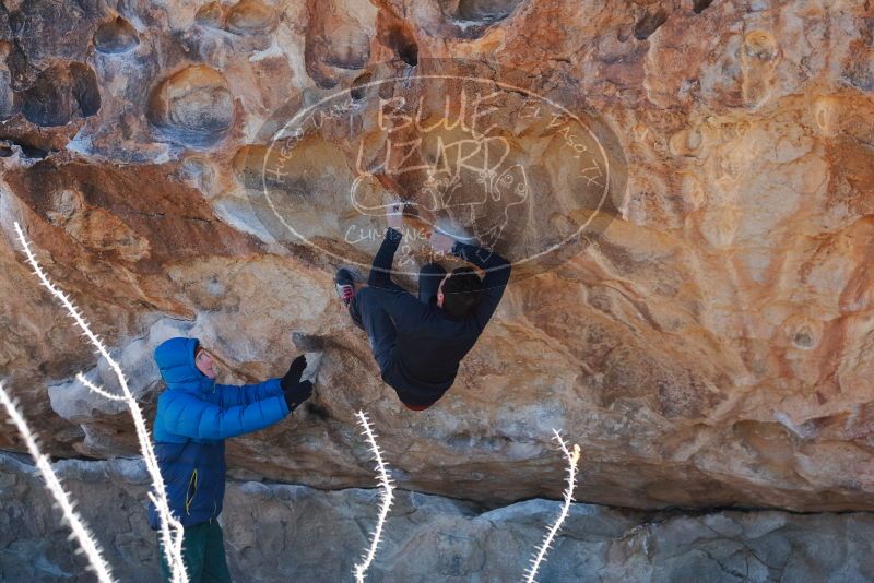 Bouldering in Hueco Tanks on 01/03/2020 with Blue Lizard Climbing and Yoga

Filename: SRM_20200103_1247000.jpg
Aperture: f/4.0
Shutter Speed: 1/500
Body: Canon EOS-1D Mark II
Lens: Canon EF 50mm f/1.8 II