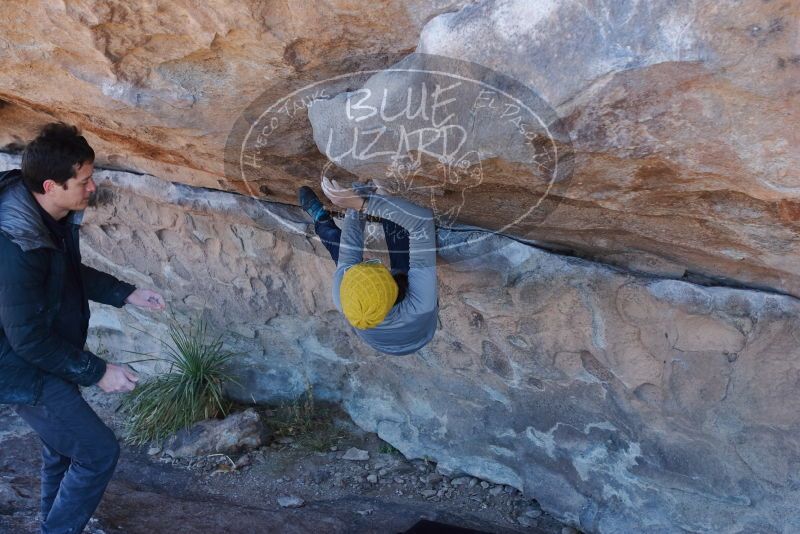 Bouldering in Hueco Tanks on 01/03/2020 with Blue Lizard Climbing and Yoga

Filename: SRM_20200103_1254430.jpg
Aperture: f/4.5
Shutter Speed: 1/320
Body: Canon EOS-1D Mark II
Lens: Canon EF 16-35mm f/2.8 L