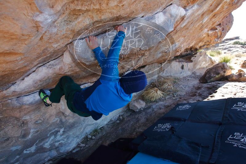 Bouldering in Hueco Tanks on 01/03/2020 with Blue Lizard Climbing and Yoga

Filename: SRM_20200103_1259450.jpg
Aperture: f/5.0
Shutter Speed: 1/320
Body: Canon EOS-1D Mark II
Lens: Canon EF 16-35mm f/2.8 L