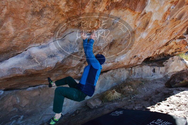 Bouldering in Hueco Tanks on 01/03/2020 with Blue Lizard Climbing and Yoga

Filename: SRM_20200103_1300040.jpg
Aperture: f/5.6
Shutter Speed: 1/320
Body: Canon EOS-1D Mark II
Lens: Canon EF 16-35mm f/2.8 L
