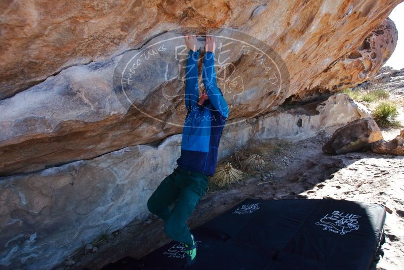 Bouldering in Hueco Tanks on 01/03/2020 with Blue Lizard Climbing and Yoga

Filename: SRM_20200103_1300060.jpg
Aperture: f/5.6
Shutter Speed: 1/320
Body: Canon EOS-1D Mark II
Lens: Canon EF 16-35mm f/2.8 L