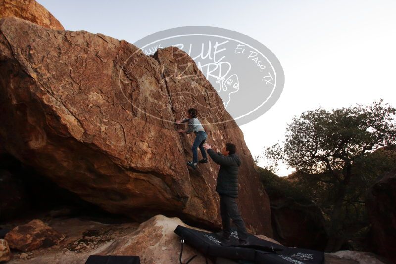 Bouldering in Hueco Tanks on 01/03/2020 with Blue Lizard Climbing and Yoga
Filename: SRM_20200103_1829230.jpg
Aperture: f/3.5
Shutter Speed: 1/125
Body: Canon EOS-1D Mark II
Lens: Canon EF 16-35mm f/2.8 L