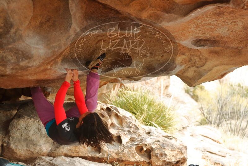 Bouldering in Hueco Tanks on 01/02/2020 with Blue Lizard Climbing and Yoga

Filename: SRM_20200102_1153230.jpg
Aperture: f/3.2
Shutter Speed: 1/250
Body: Canon EOS-1D Mark II
Lens: Canon EF 50mm f/1.8 II