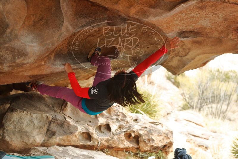 Bouldering in Hueco Tanks on 01/02/2020 with Blue Lizard Climbing and Yoga

Filename: SRM_20200102_1153310.jpg
Aperture: f/3.2
Shutter Speed: 1/250
Body: Canon EOS-1D Mark II
Lens: Canon EF 50mm f/1.8 II