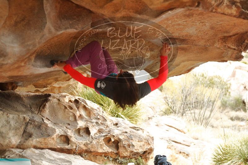 Bouldering in Hueco Tanks on 01/02/2020 with Blue Lizard Climbing and Yoga

Filename: SRM_20200102_1153380.jpg
Aperture: f/3.2
Shutter Speed: 1/250
Body: Canon EOS-1D Mark II
Lens: Canon EF 50mm f/1.8 II
