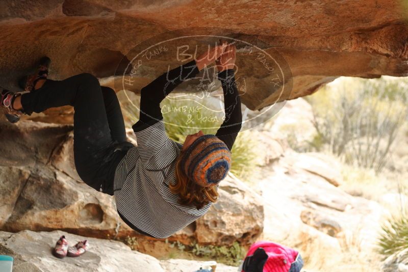 Bouldering in Hueco Tanks on 01/02/2020 with Blue Lizard Climbing and Yoga

Filename: SRM_20200102_1157250.jpg
Aperture: f/3.2
Shutter Speed: 1/250
Body: Canon EOS-1D Mark II
Lens: Canon EF 50mm f/1.8 II