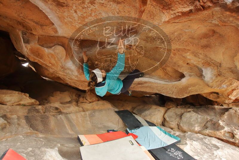 Bouldering in Hueco Tanks on 01/02/2020 with Blue Lizard Climbing and Yoga

Filename: SRM_20200102_1222060.jpg
Aperture: f/3.5
Shutter Speed: 1/250
Body: Canon EOS-1D Mark II
Lens: Canon EF 16-35mm f/2.8 L
