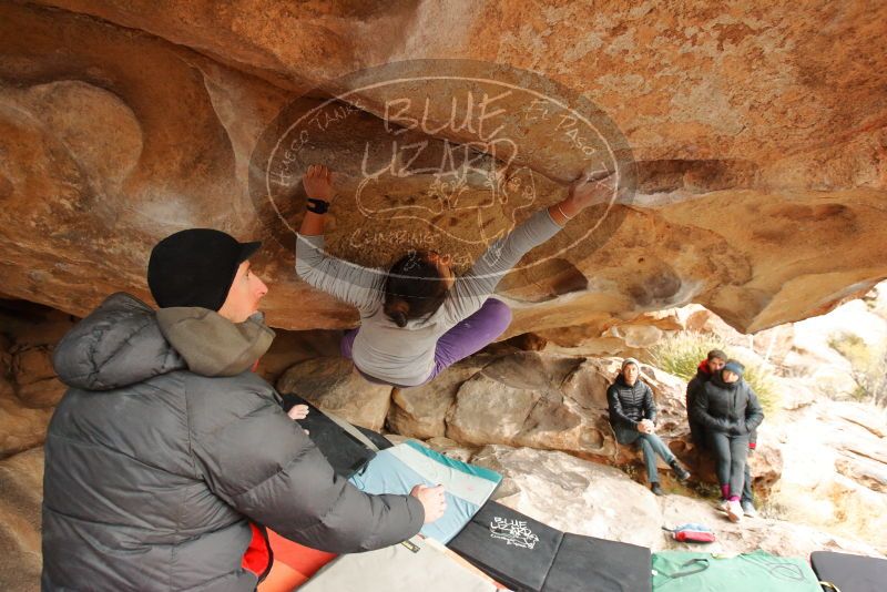 Bouldering in Hueco Tanks on 01/02/2020 with Blue Lizard Climbing and Yoga

Filename: SRM_20200102_1239500.jpg
Aperture: f/4.5
Shutter Speed: 1/250
Body: Canon EOS-1D Mark II
Lens: Canon EF 16-35mm f/2.8 L
