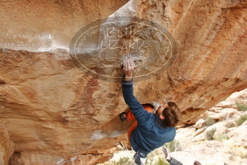 Bouldering in Hueco Tanks on 01/02/2020 with Blue Lizard Climbing and Yoga

Filename: SRM_20200102_1326211.jpg
Aperture: f/4.5
Shutter Speed: 1/250
Body: Canon EOS-1D Mark II
Lens: Canon EF 16-35mm f/2.8 L