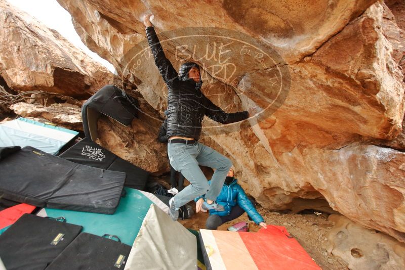 Bouldering in Hueco Tanks on 01/02/2020 with Blue Lizard Climbing and Yoga

Filename: SRM_20200102_1331570.jpg
Aperture: f/3.5
Shutter Speed: 1/250
Body: Canon EOS-1D Mark II
Lens: Canon EF 16-35mm f/2.8 L