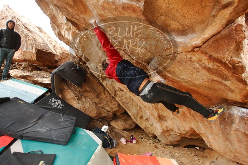 Bouldering in Hueco Tanks on 01/02/2020 with Blue Lizard Climbing and Yoga

Filename: SRM_20200102_1334020.jpg
Aperture: f/3.2
Shutter Speed: 1/250
Body: Canon EOS-1D Mark II
Lens: Canon EF 16-35mm f/2.8 L