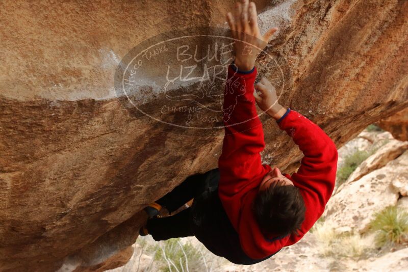 Bouldering in Hueco Tanks on 01/02/2020 with Blue Lizard Climbing and Yoga

Filename: SRM_20200102_1334420.jpg
Aperture: f/5.6
Shutter Speed: 1/250
Body: Canon EOS-1D Mark II
Lens: Canon EF 16-35mm f/2.8 L